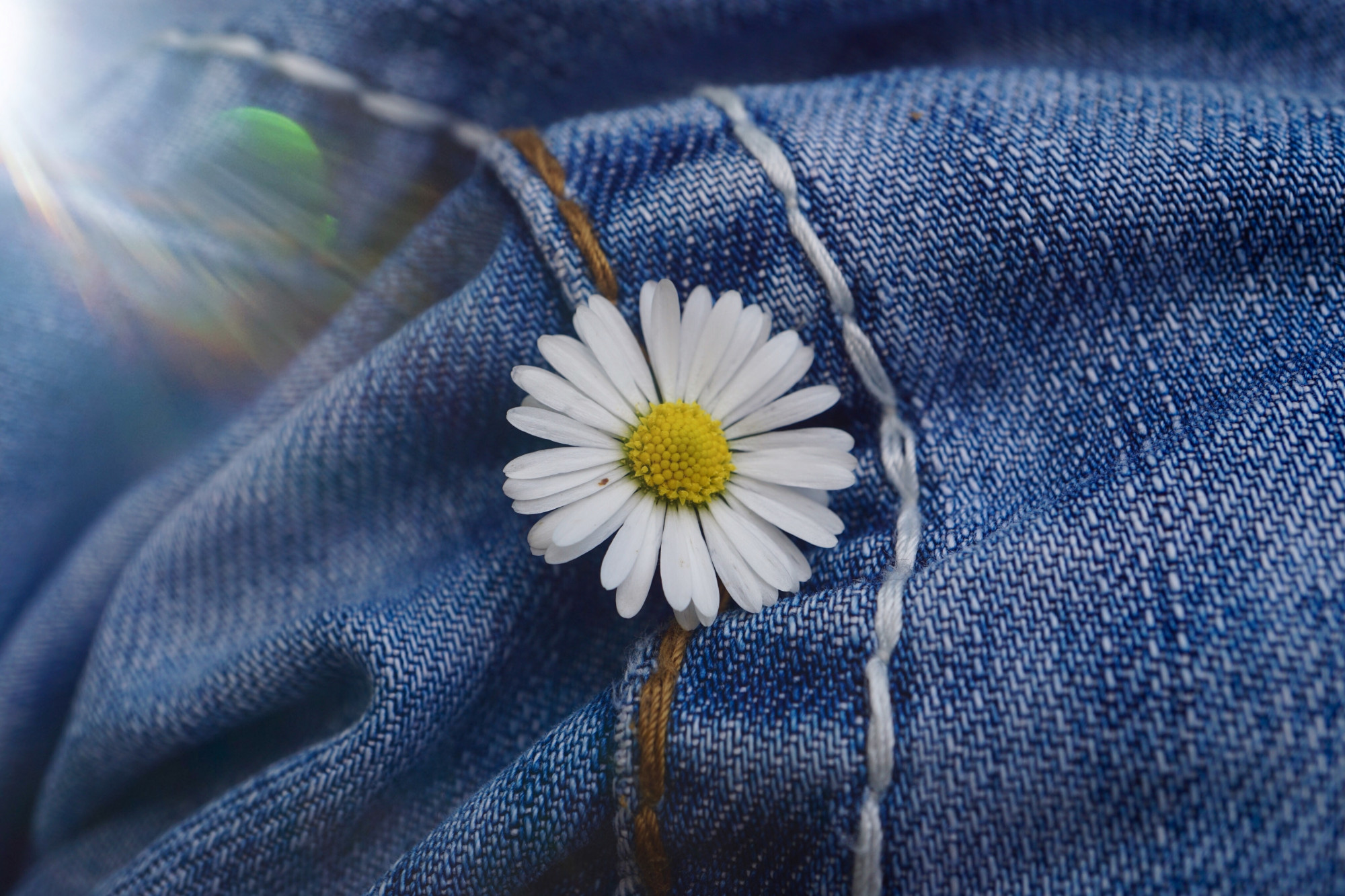 Close up of embroidered floral patch on denim