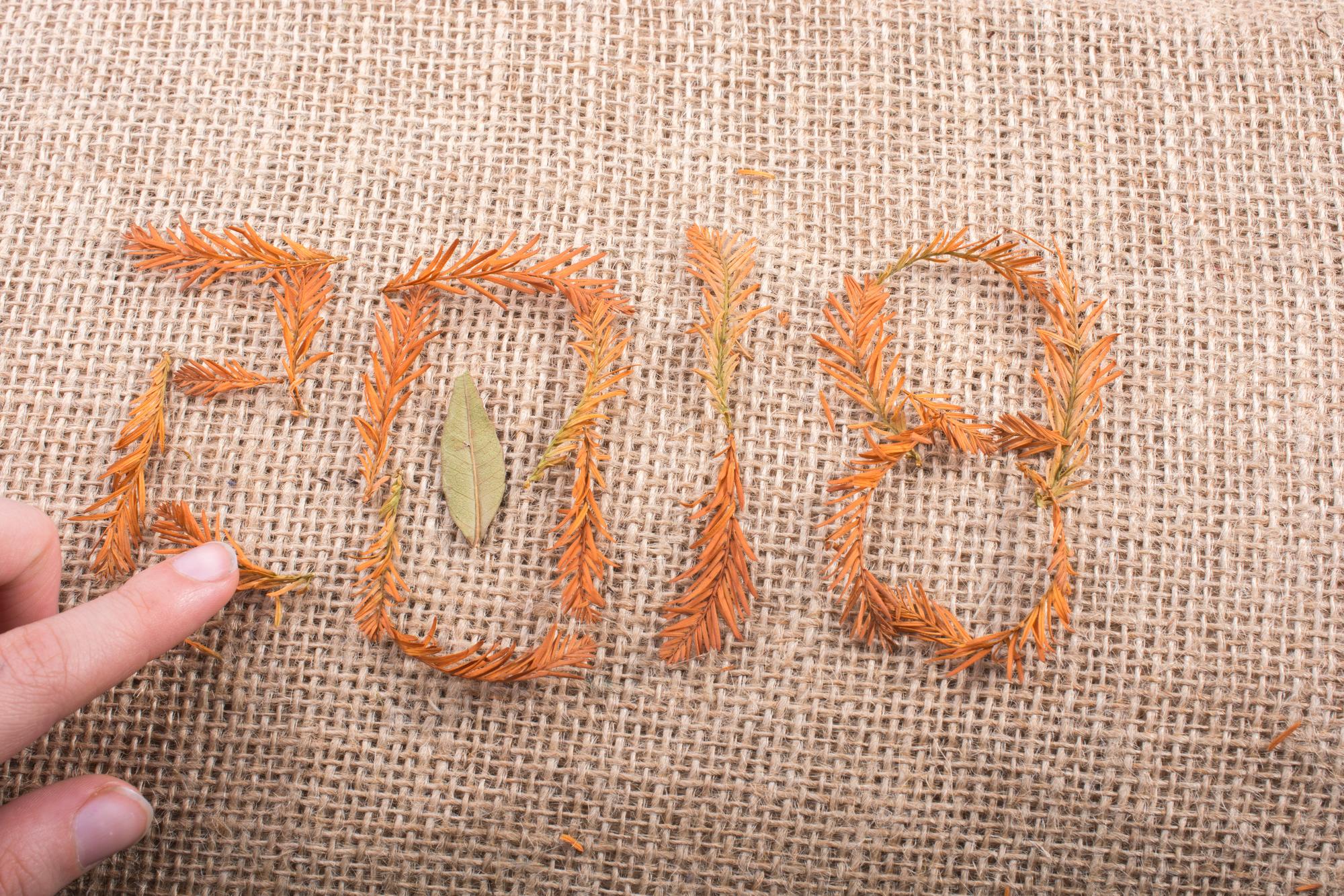Stitched botanical badge on linen